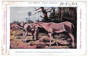 1914. Entero postal de Balneario de Cardó (Tarragona) a Sardaloña del Vallés